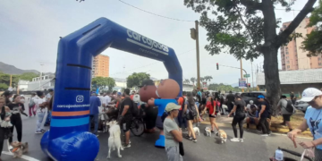 Valencianos y sus mascotas asistieron a la primera caminata para los sin voces
