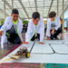 Naguanagua fue sede de la etapa clasificatoria estadal de la Olimpiada de Robótica Creativa